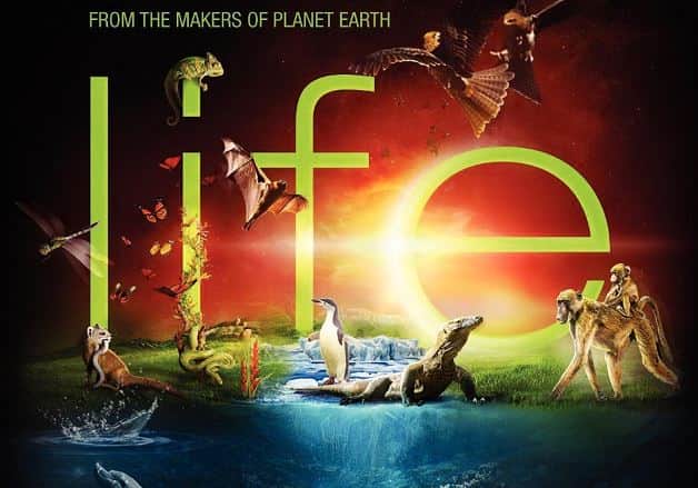 life dokumentären