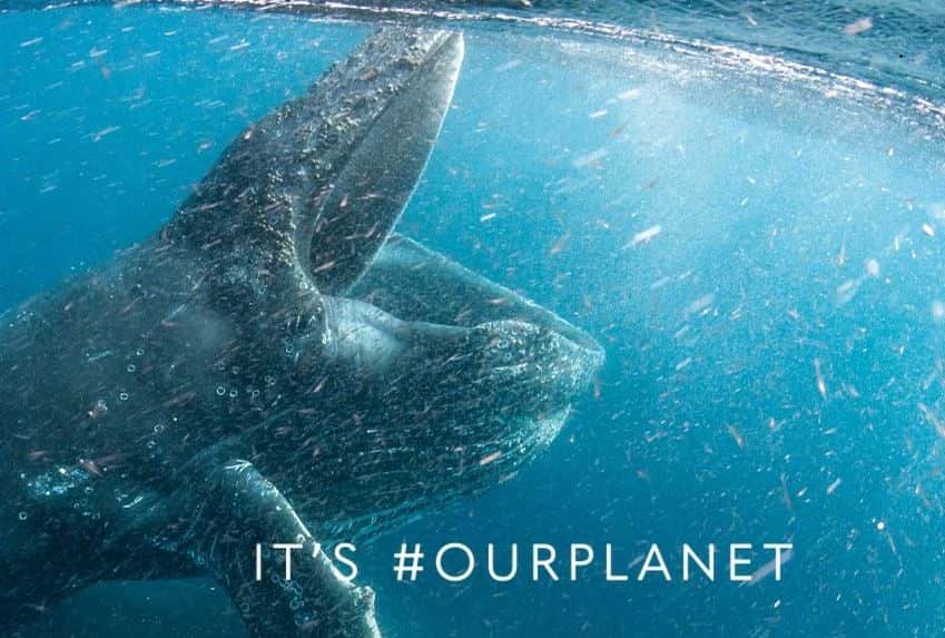 ourplanet dokumentär netflix