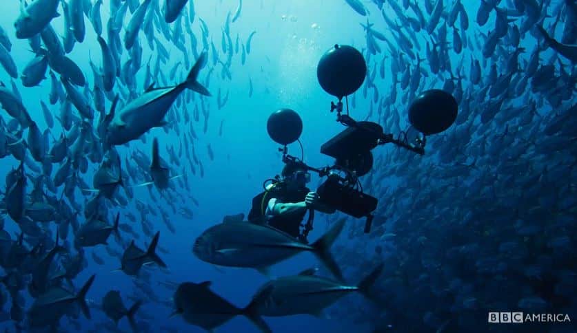 the blue planet dokumentär
